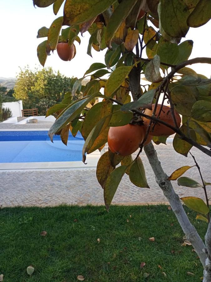 Monte Papa Figos Villa Malhao  Luaran gambar